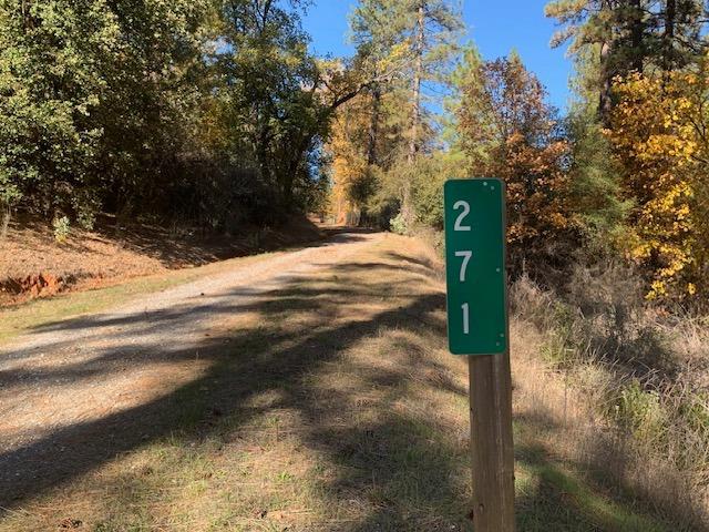 271 Sierra Madre Road Rail Road Flat, CA 95248 - Photo 4 of 57