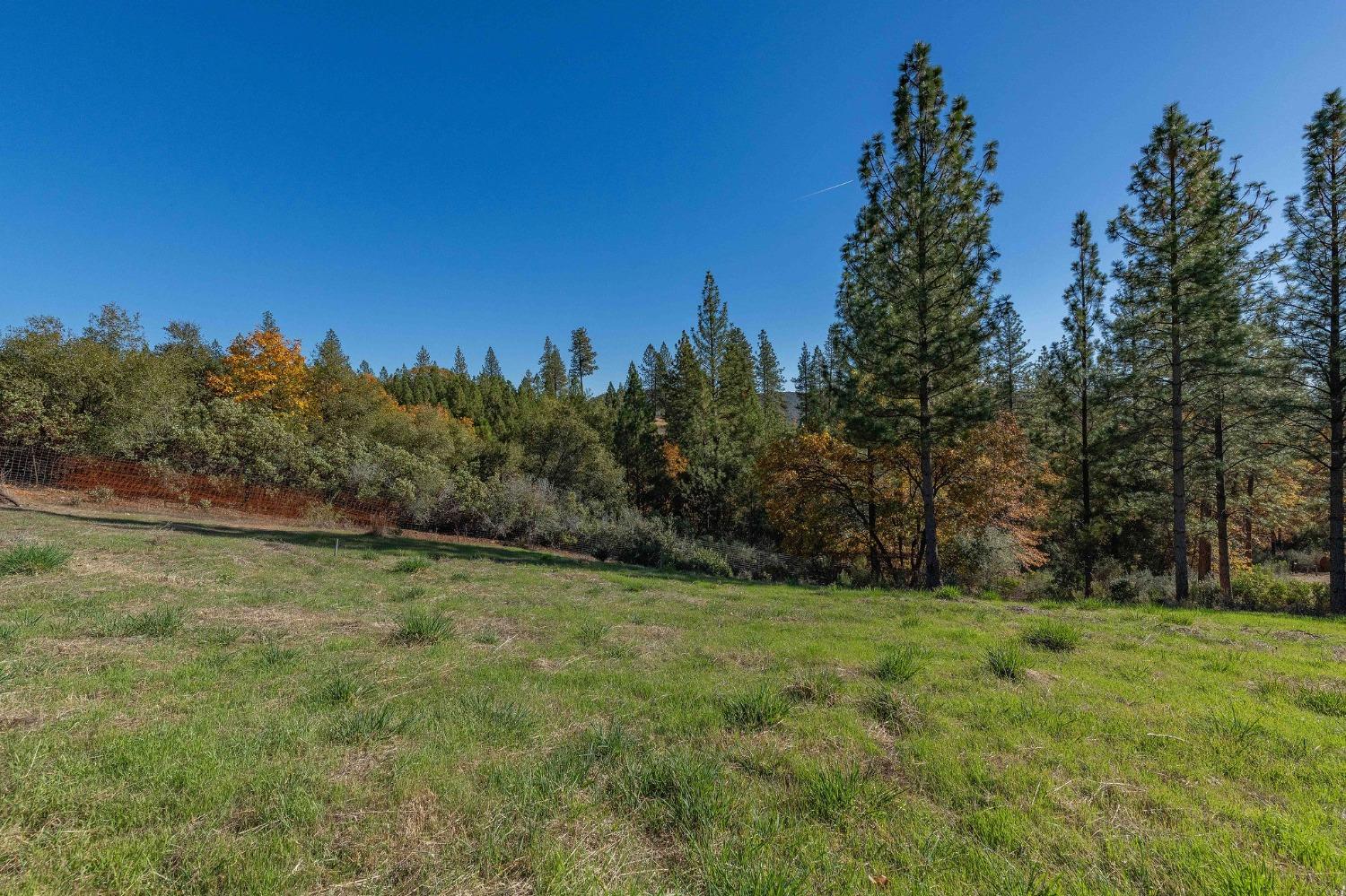 271 Sierra Madre Road Rail Road Flat, CA 95248 - Photo 41 of 57