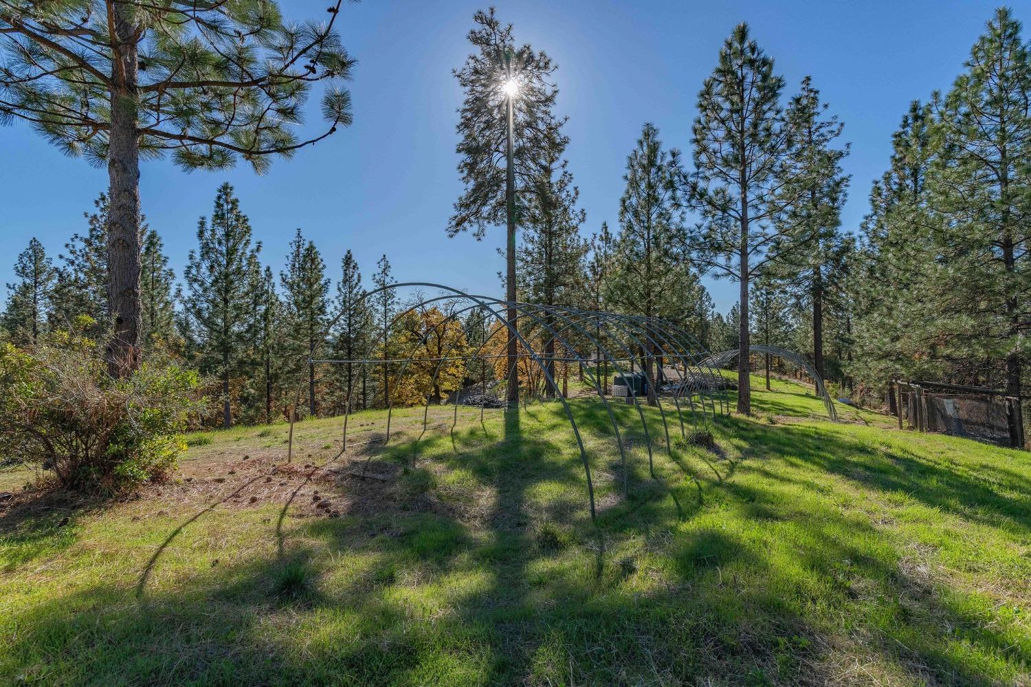 271 Sierra Madre Road Rail Road Flat, CA 95248 - Photo 44 of 57