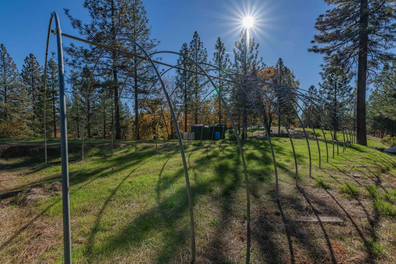 271 Sierra Madre Road Rail Road Flat, CA 95248 - Photo 46 of 57