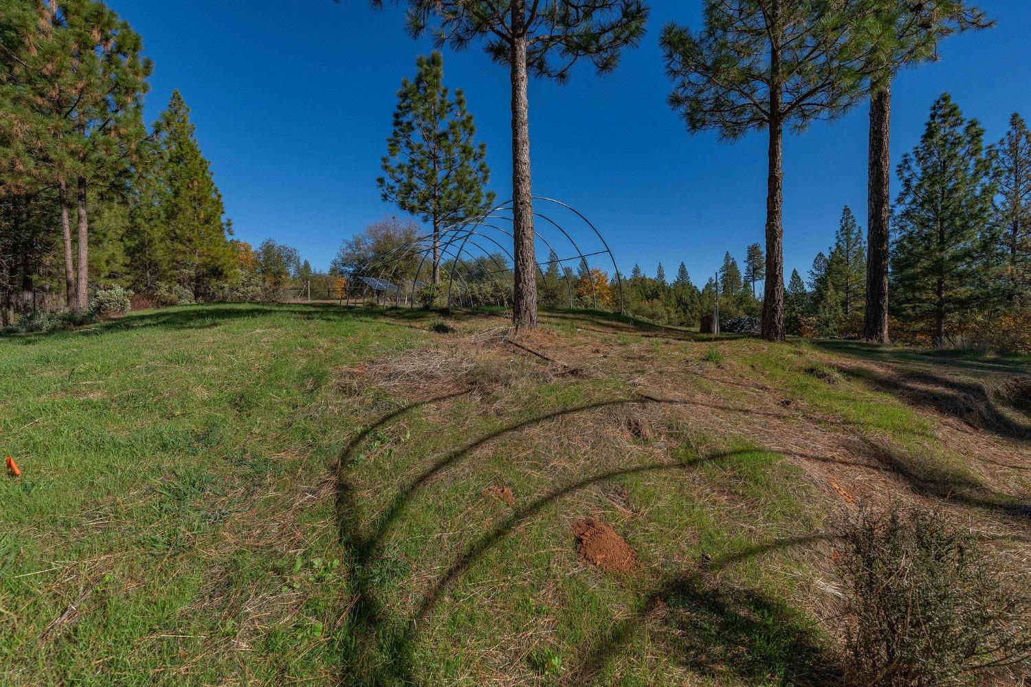 271 Sierra Madre Road Rail Road Flat, CA 95248 - Photo 47 of 57