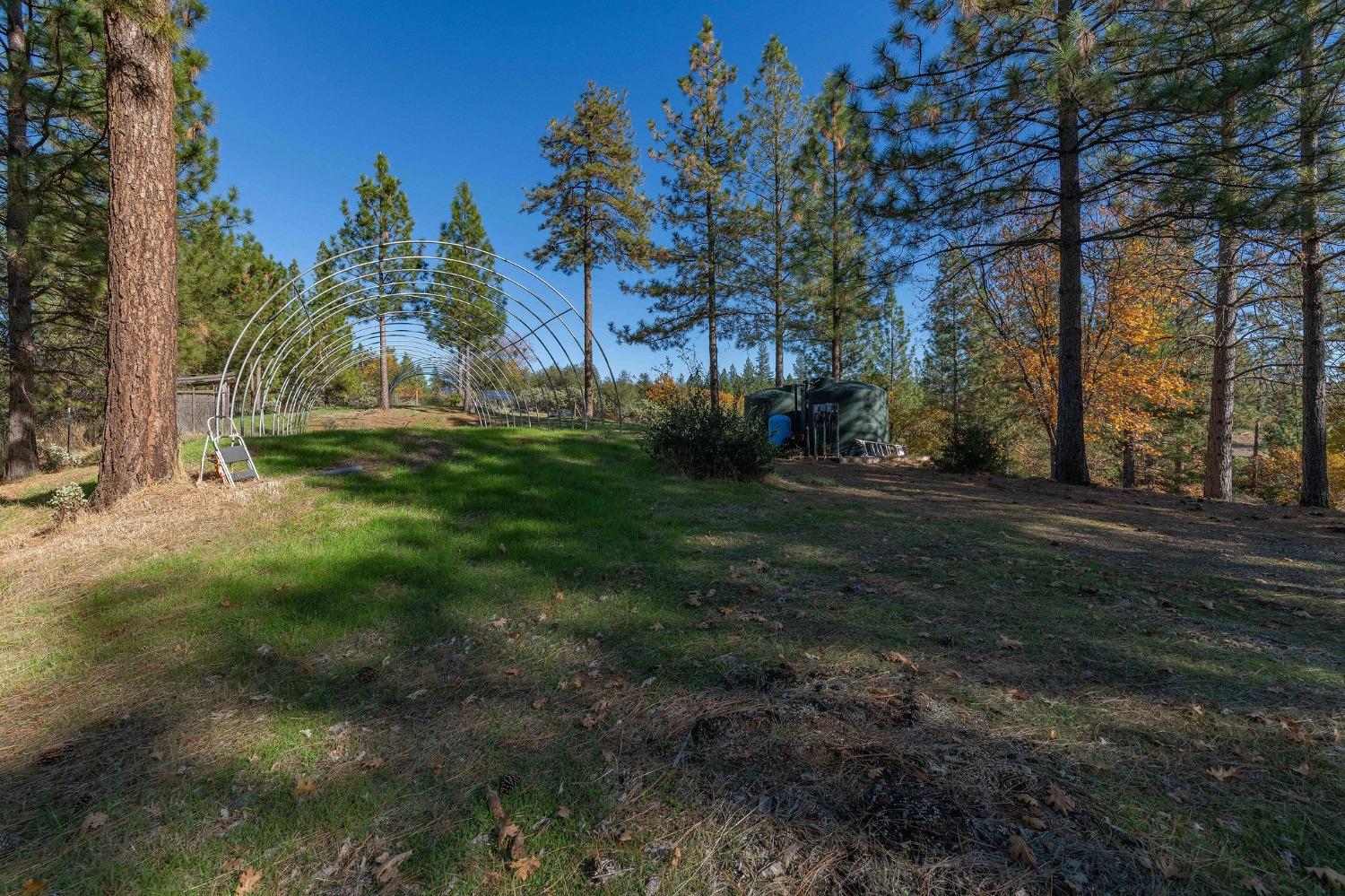 271 Sierra Madre Road Rail Road Flat, CA 95248 - Photo 50 of 57