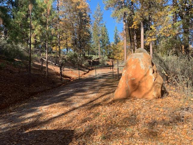 271 Sierra Madre Road Rail Road Flat, CA 95248 - Photo 5 of 57