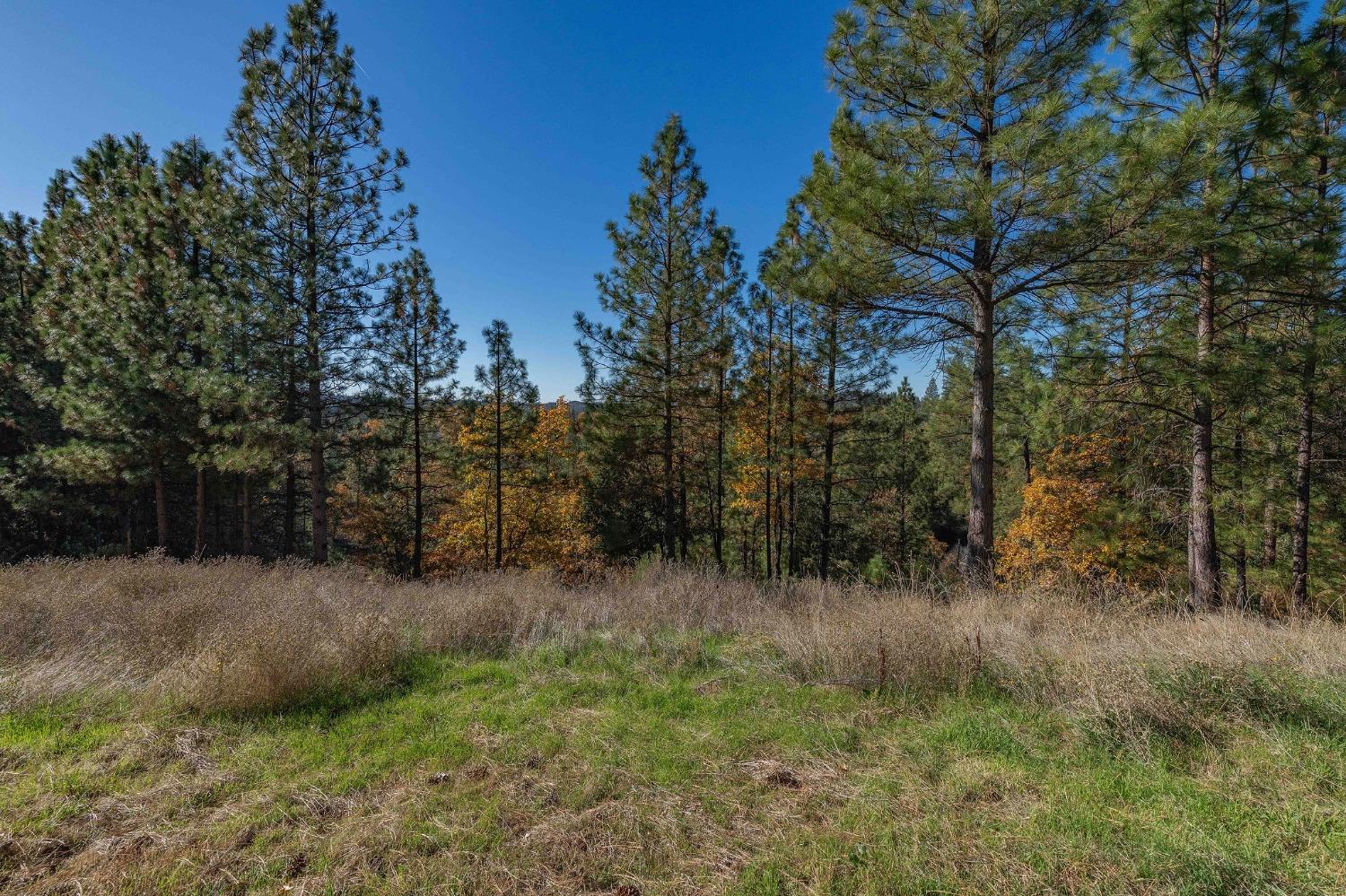 271 Sierra Madre Road Rail Road Flat, CA 95248 - Photo 51 of 57