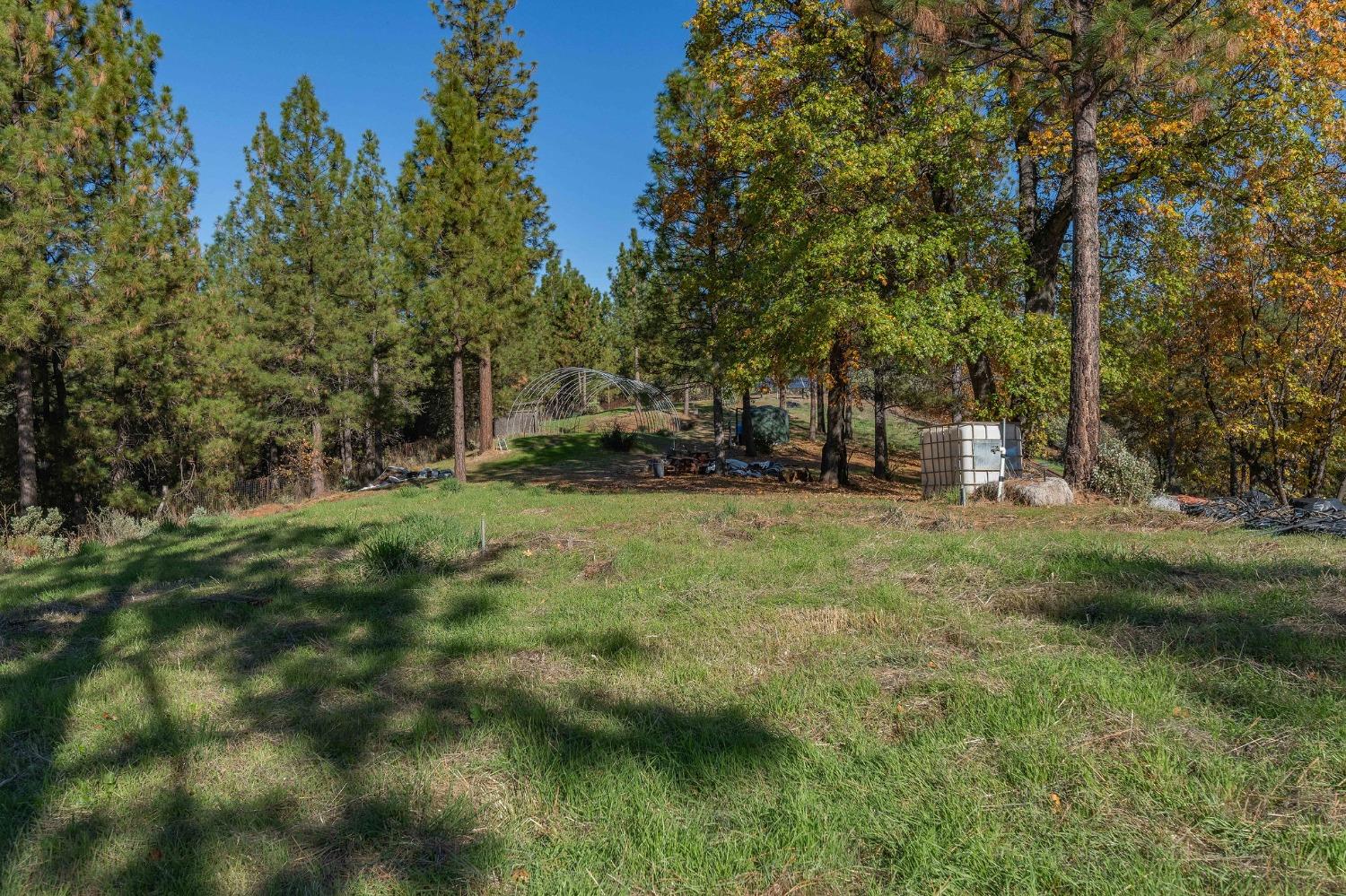 271 Sierra Madre Road Rail Road Flat, CA 95248 - Photo 53 of 57