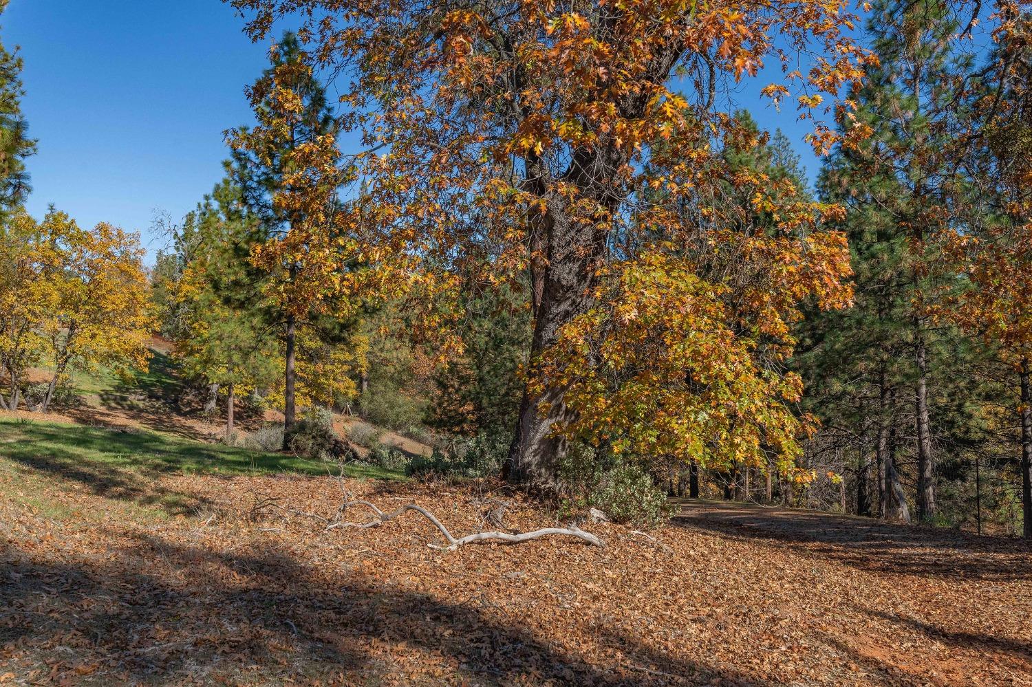 271 Sierra Madre Road Rail Road Flat, CA 95248 - Photo 54 of 57