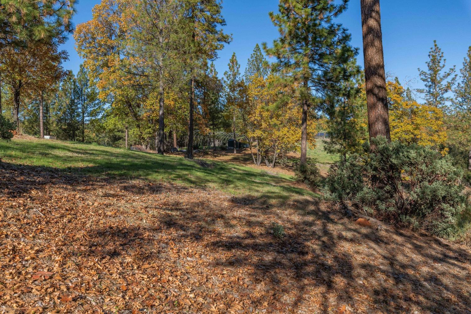 271 Sierra Madre Road Rail Road Flat, CA 95248 - Photo 55 of 57