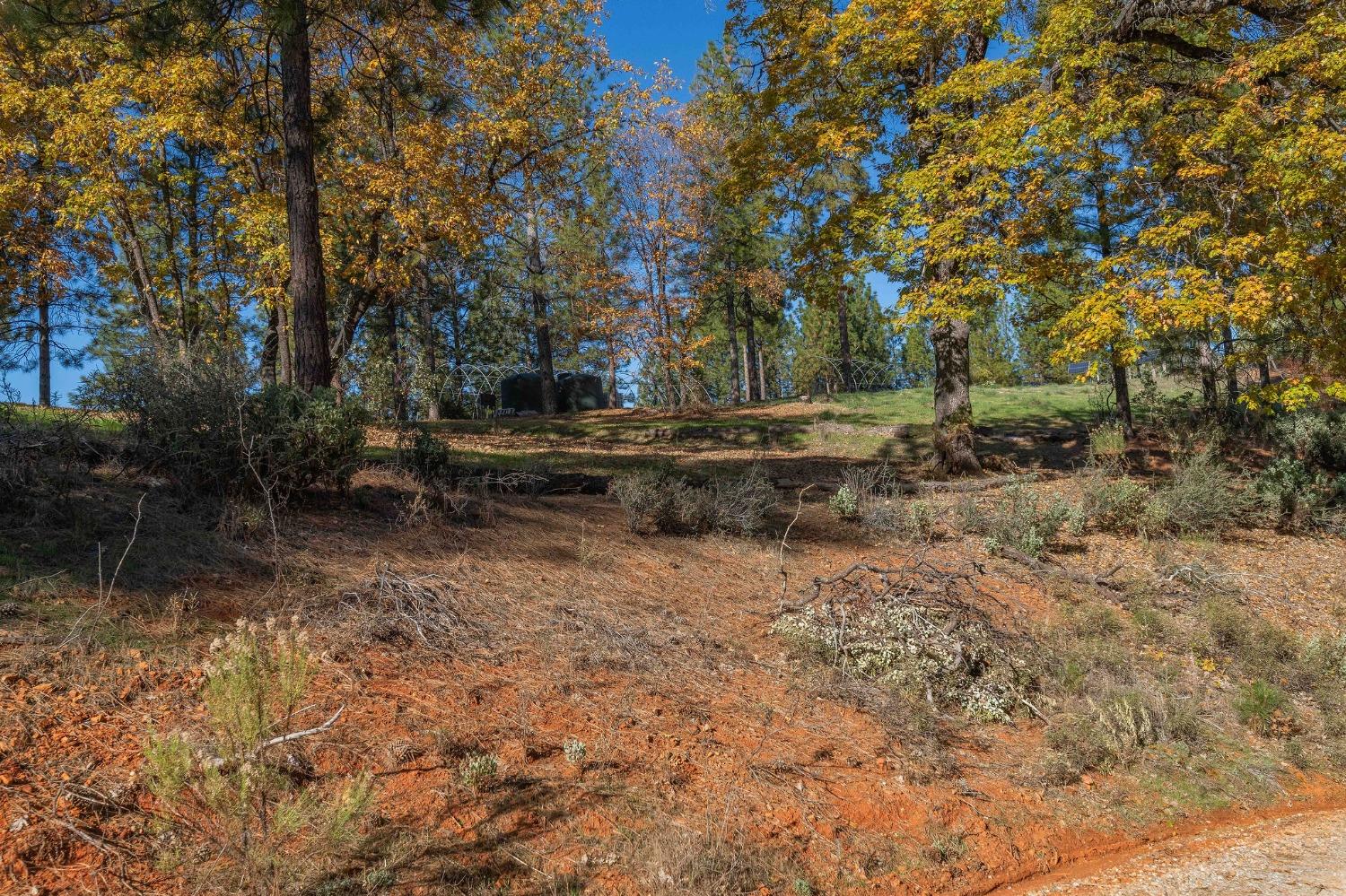 271 Sierra Madre Road Rail Road Flat, CA 95248 - Photo 56 of 57