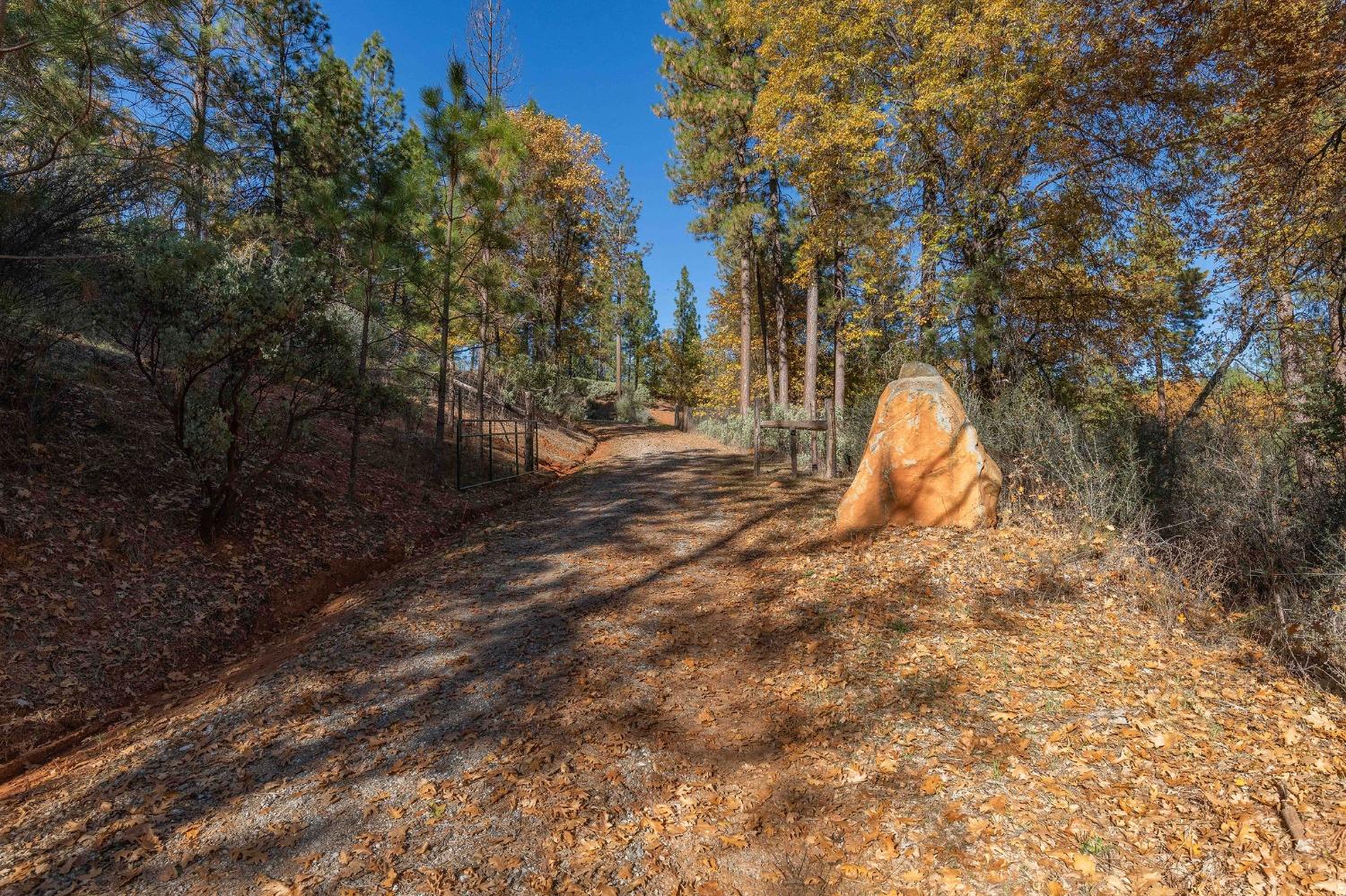 271 Sierra Madre Road Rail Road Flat, CA 95248 - Photo 57 of 57