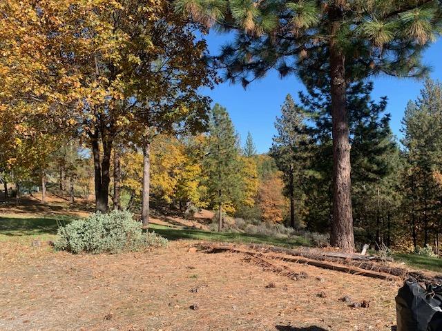 271 Sierra Madre Road Rail Road Flat, CA 95248 - Photo 8 of 57