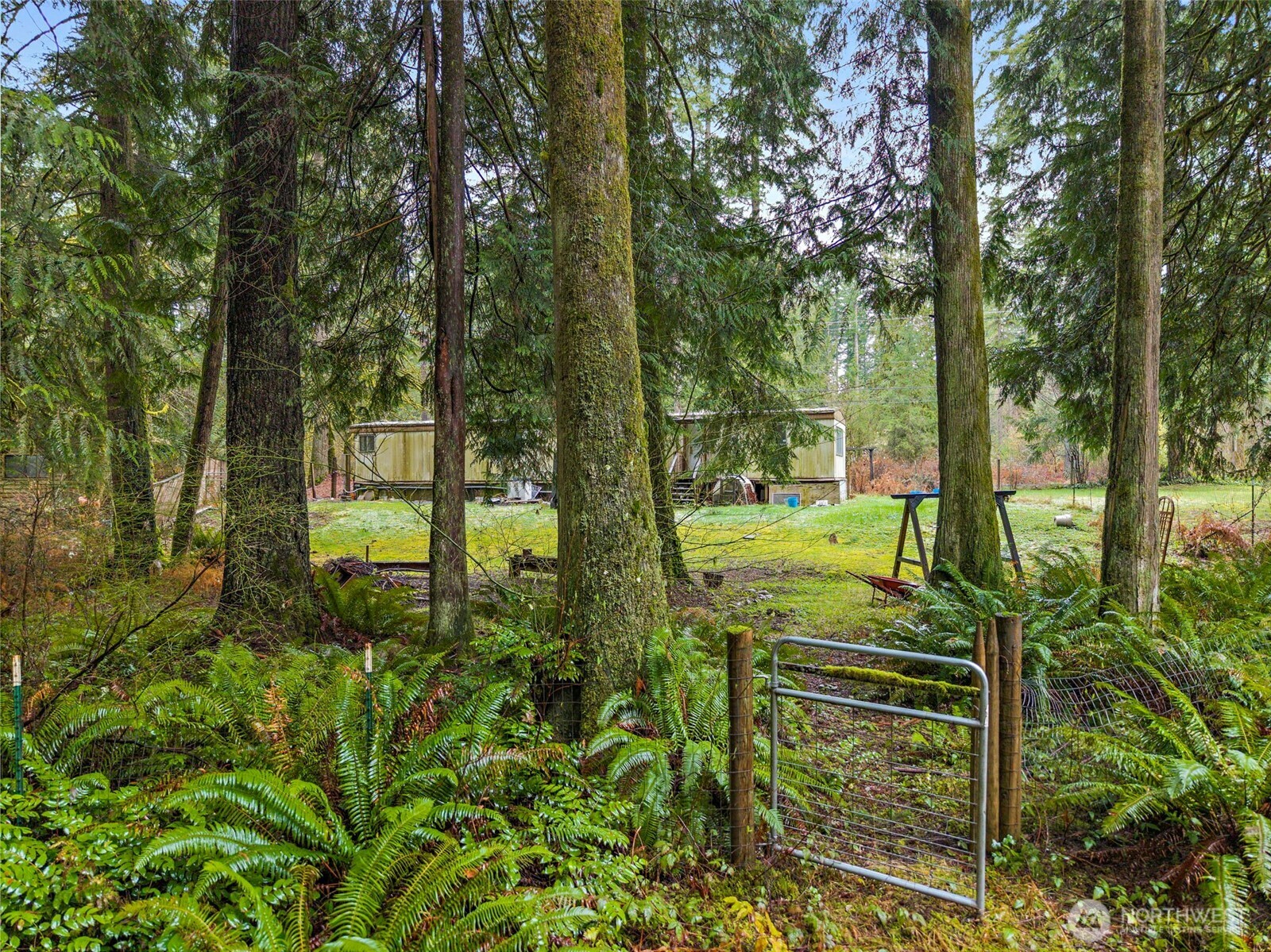 10618 Kelly Road Northeast Carnation, WA 98014 - Photo 14 of 16