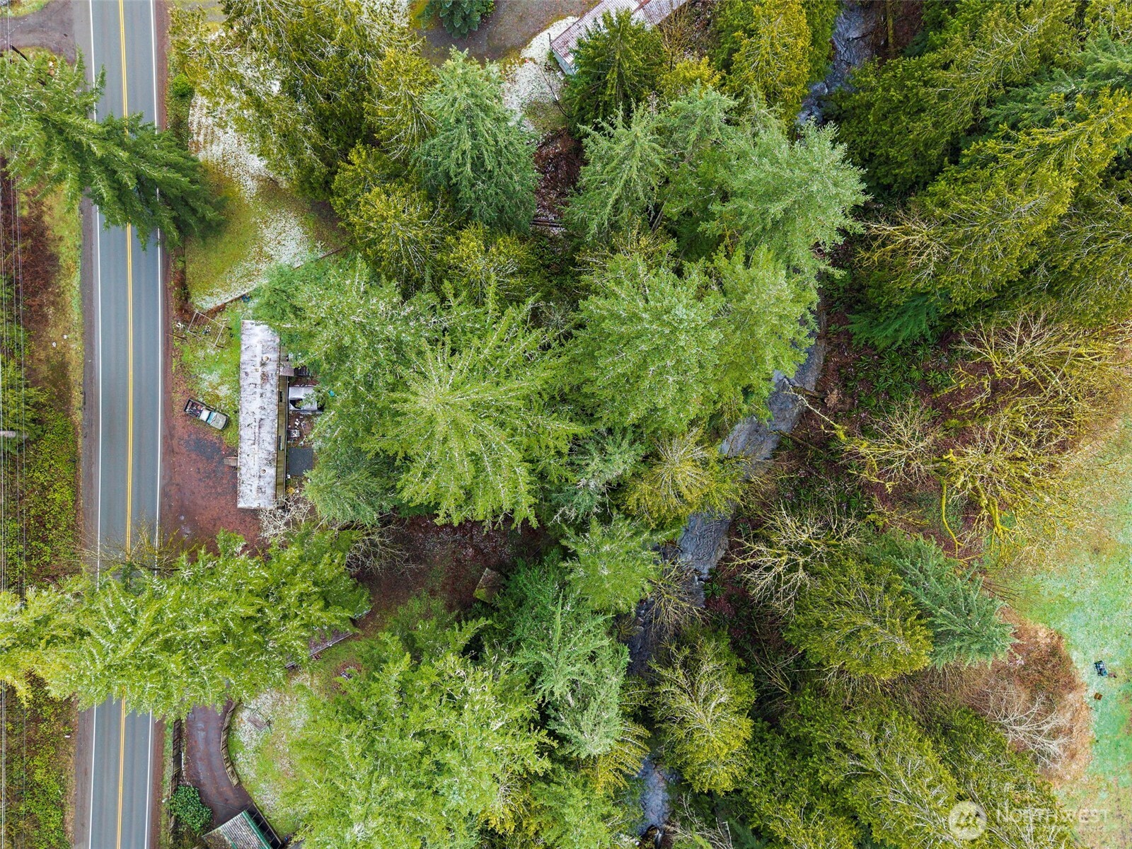 10618 Kelly Road Northeast Carnation, WA 98014 - Photo 6 of 16 a view of a garden with plants