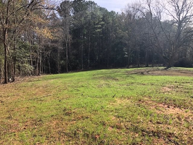 5-ac Lester Bell Road Selma, AL 36701 - Photo 8 of 26 Gallery Image 8