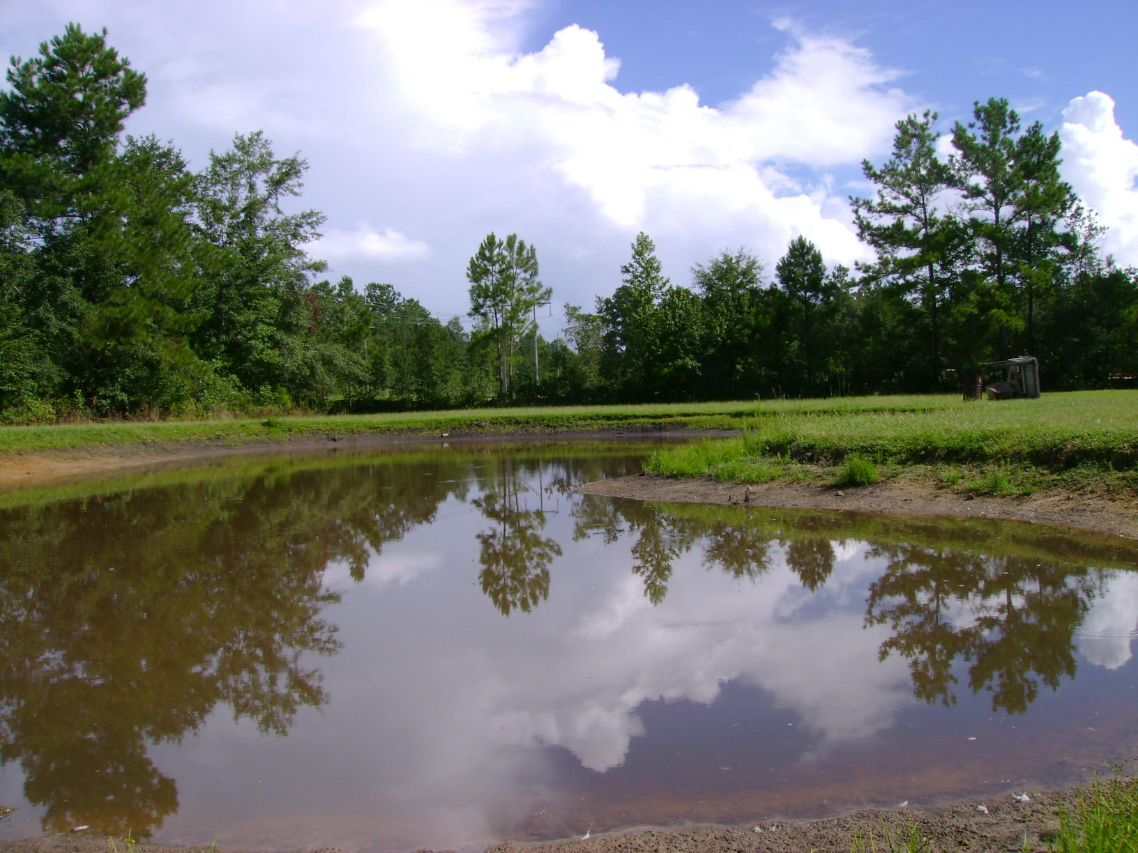 215 State Rd S-8-375 Moncks Corner, SC 29461 - Photo 11 of 30 DSC01177