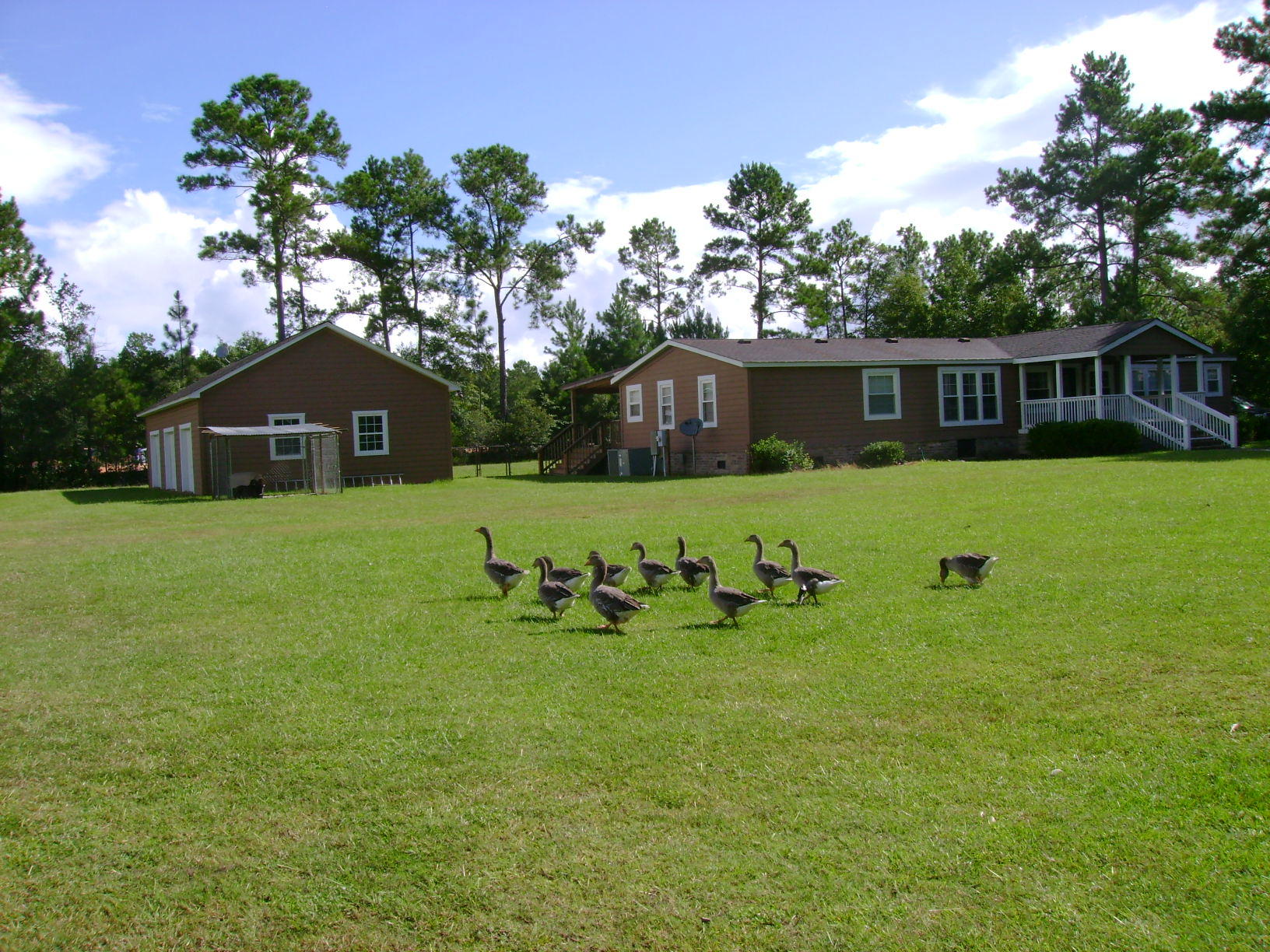 215 State Rd S-8-375 Moncks Corner, SC 29461 - Photo 10 of 30 DSC01179