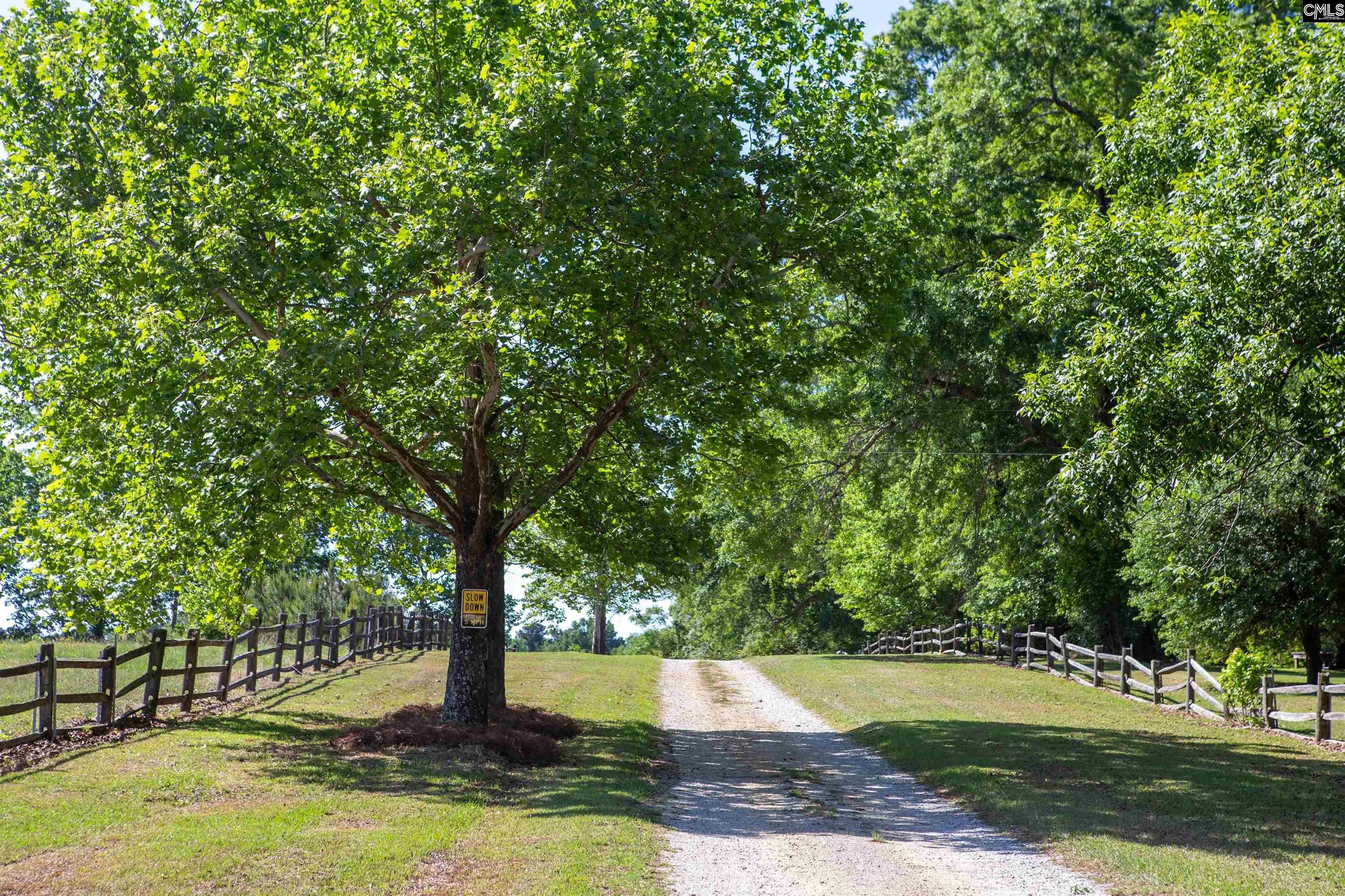 481 Cantey Lane Rembert, SC 29128 - Photo 53 of 76
