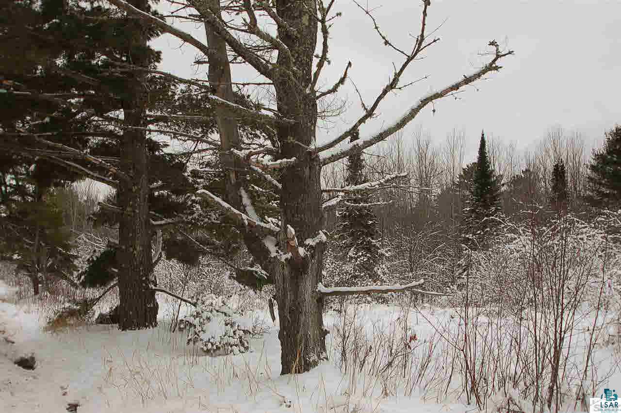 84515 Hatchery Road Bayfield, WI 54814 - Photo 9 of 9 Gallery Image 9