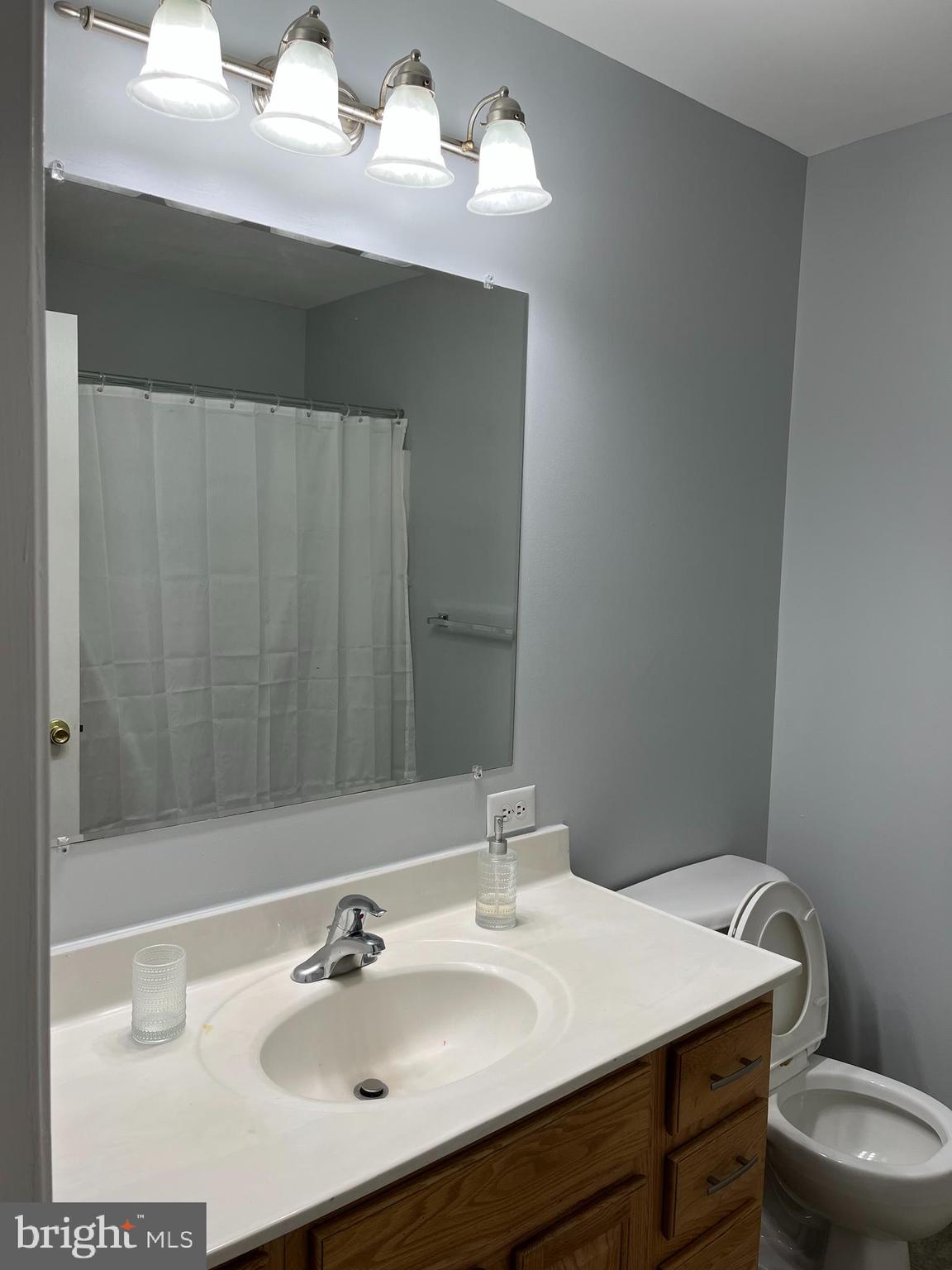 994 View Crest Court Front Royal, VA 22630 - Photo 15 of 24 a bathroom with a sink vanity mirror and toilet