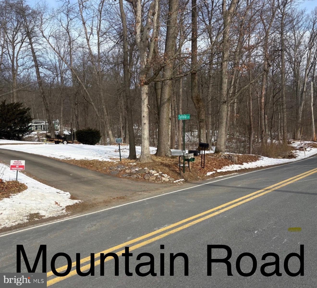 2615 Mountain Road Hamburg, PA 19526 - Photo 2 of 5 a view of street with tall trees
