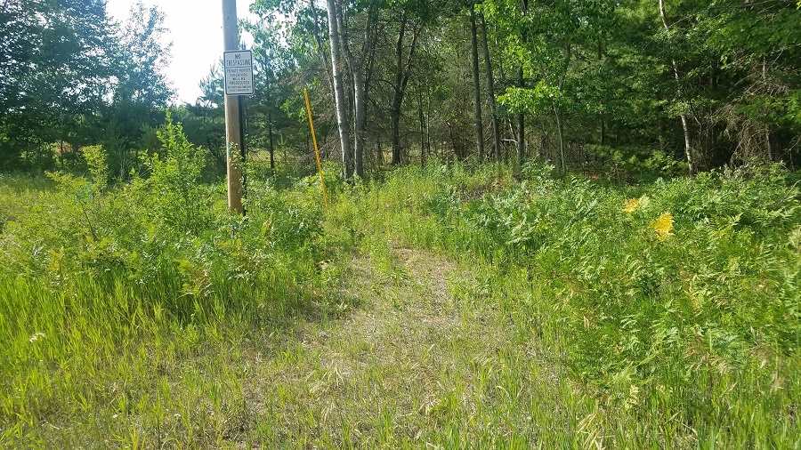 0 Sand Road Pinconning, MI 48650 - Photo 8 of 10
