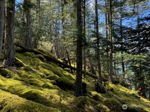 a view of outdoor space and a lake view