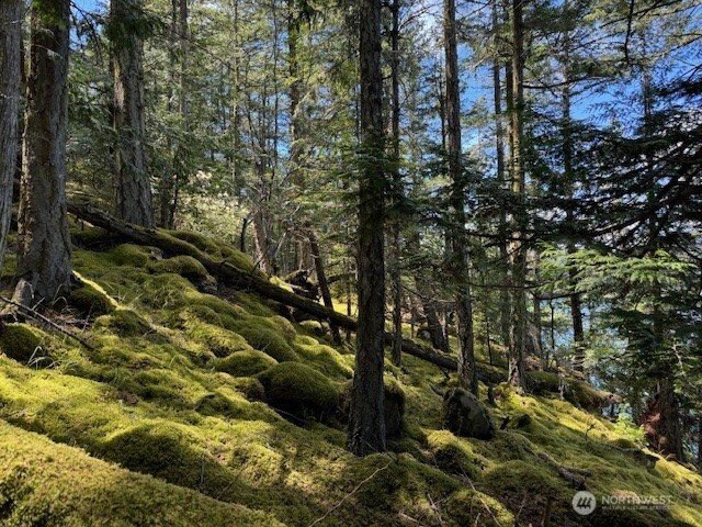 26 Peavine Way Olga, WA 98279 - Photo 5 of 11 a view of outdoor space and a lake view