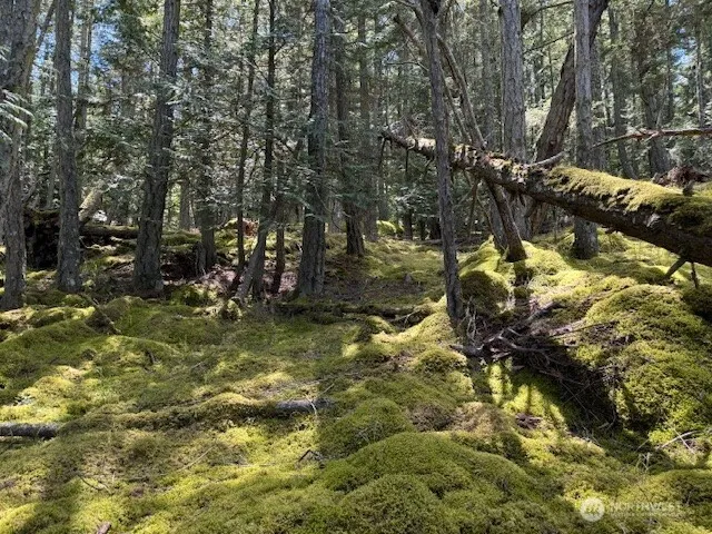 a view of outdoor space