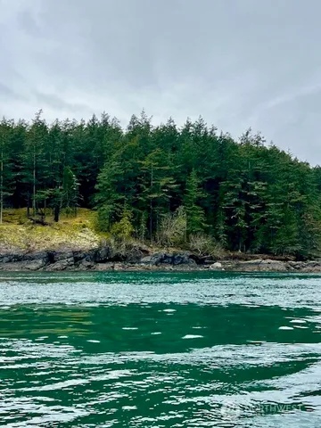 a view of a golf course with a lake