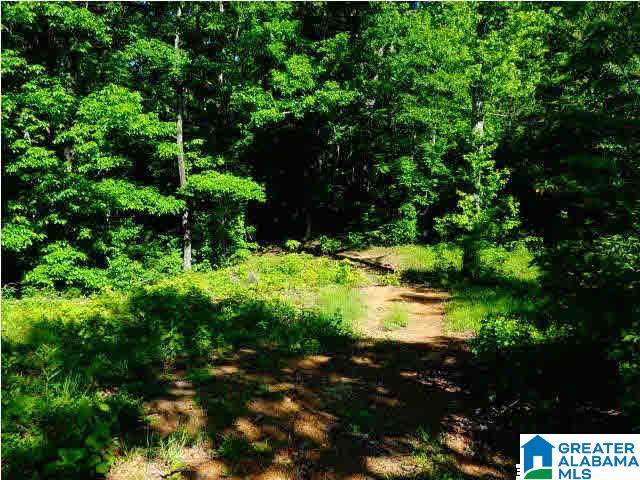 0 Riverview Drive, Unit 116 Cleveland, AL 35049 - Photo 10 of 30