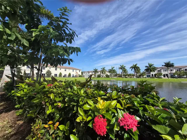 a view of a lake with a tree