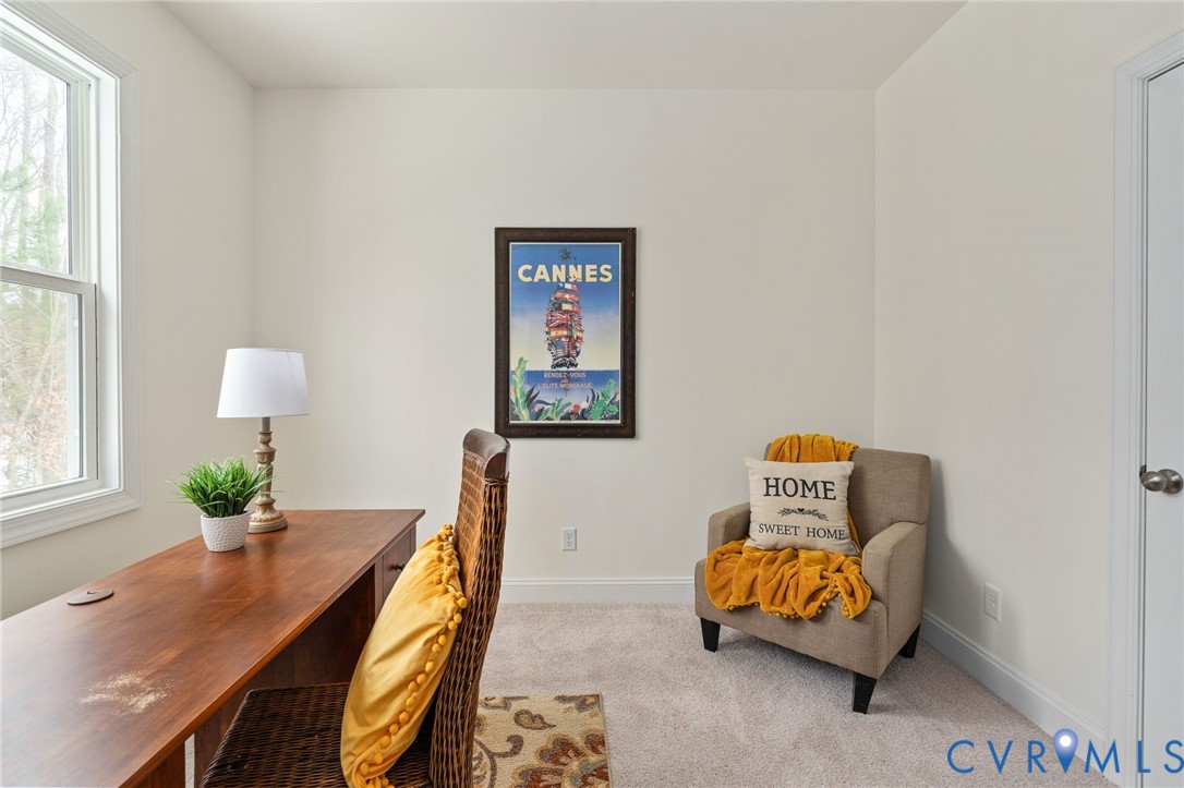 5319 Mossy Oak Road Moseley, VA 23120 - Photo 17 of 44