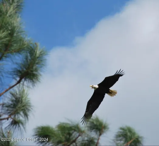 $999,500 | 32801 North Us Highway, Okeechobee, FL 34972