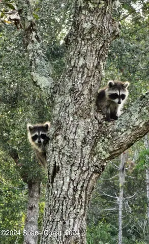 $999,500 | 32801 North Us Highway, Okeechobee, FL 34972