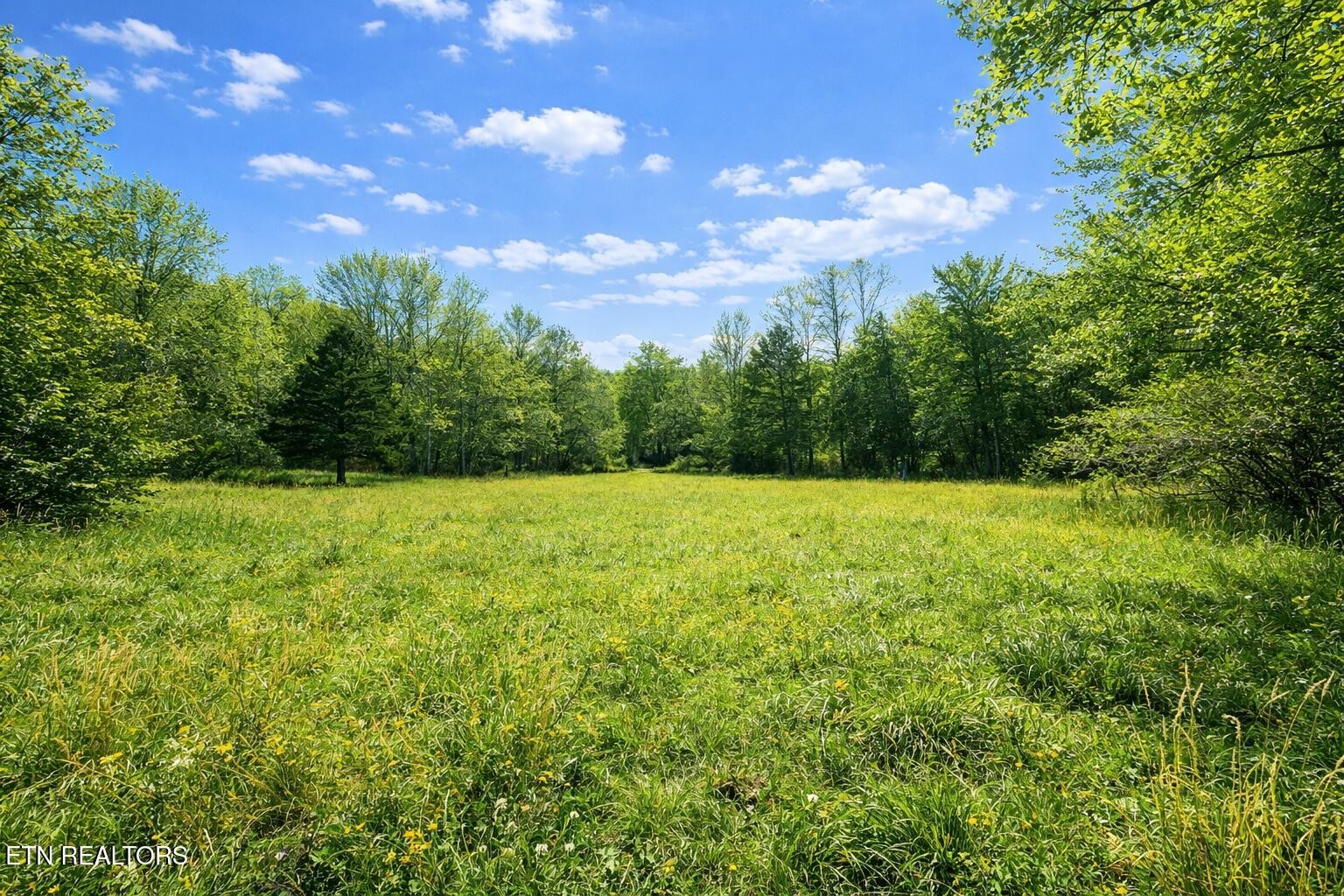 864 Bullrun Valley Drive Heiskell, TN 37754 - Photo 2 of 12 a view of outdoor space with yard and green space