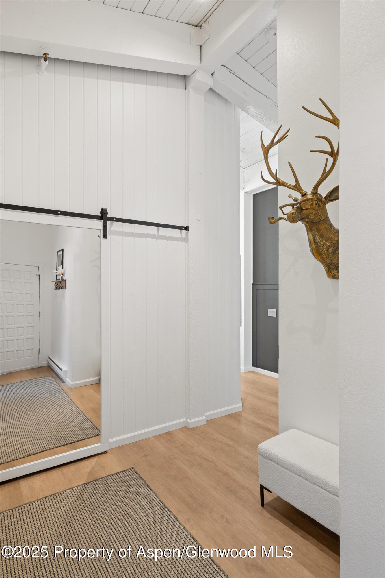 360 Wood Road, Unit 301 Snowmass Village, CO 81615 - Photo 36 of 47 Entryway with Storage Closets