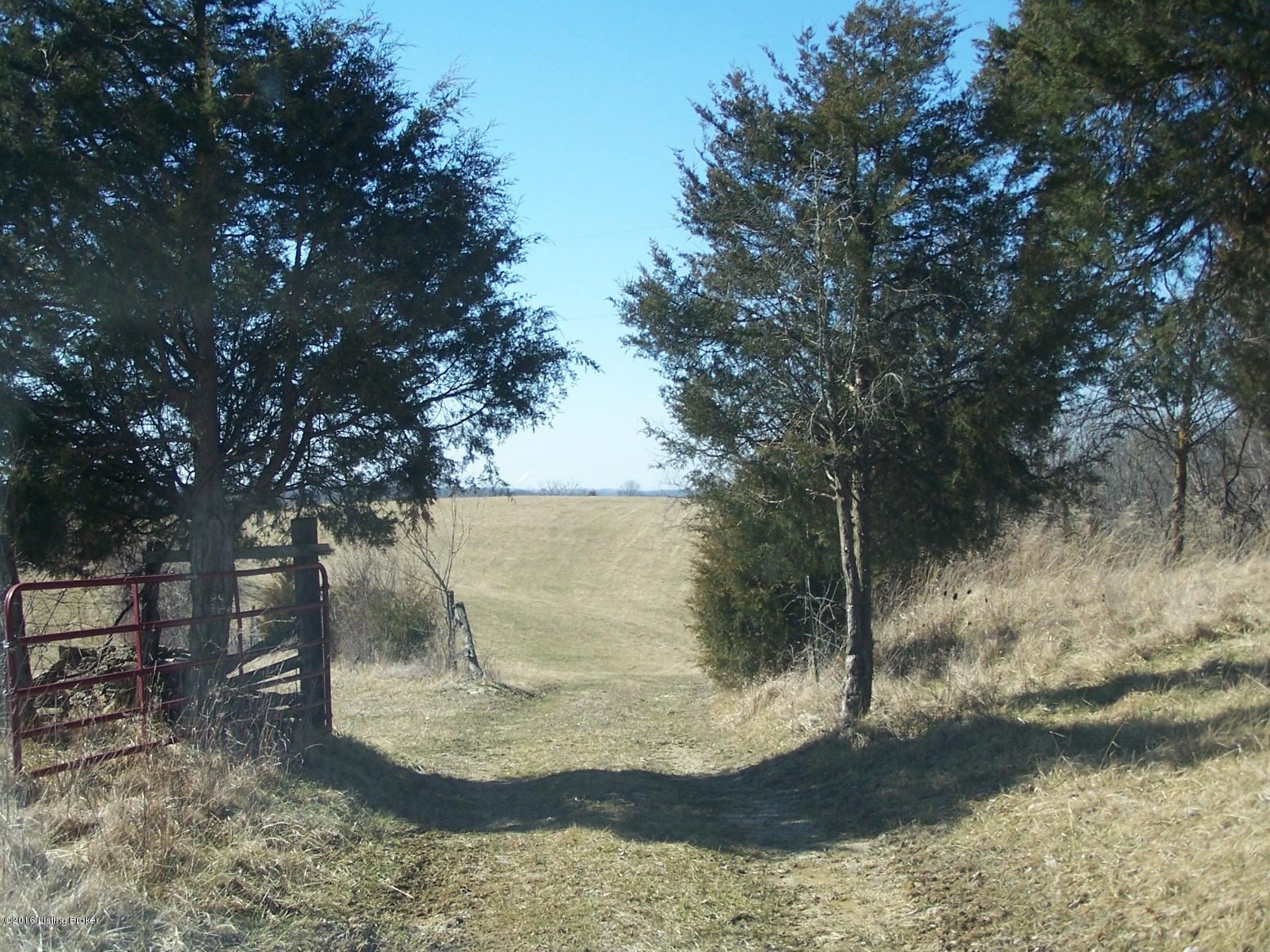 0 Dripping Springs Road Carrollton, KY 41008 - Photo 1 of 41 February 2016 033