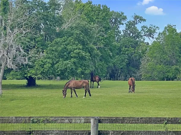 $497,500 | 5378 West Highway 329, Reddick, FL 32686