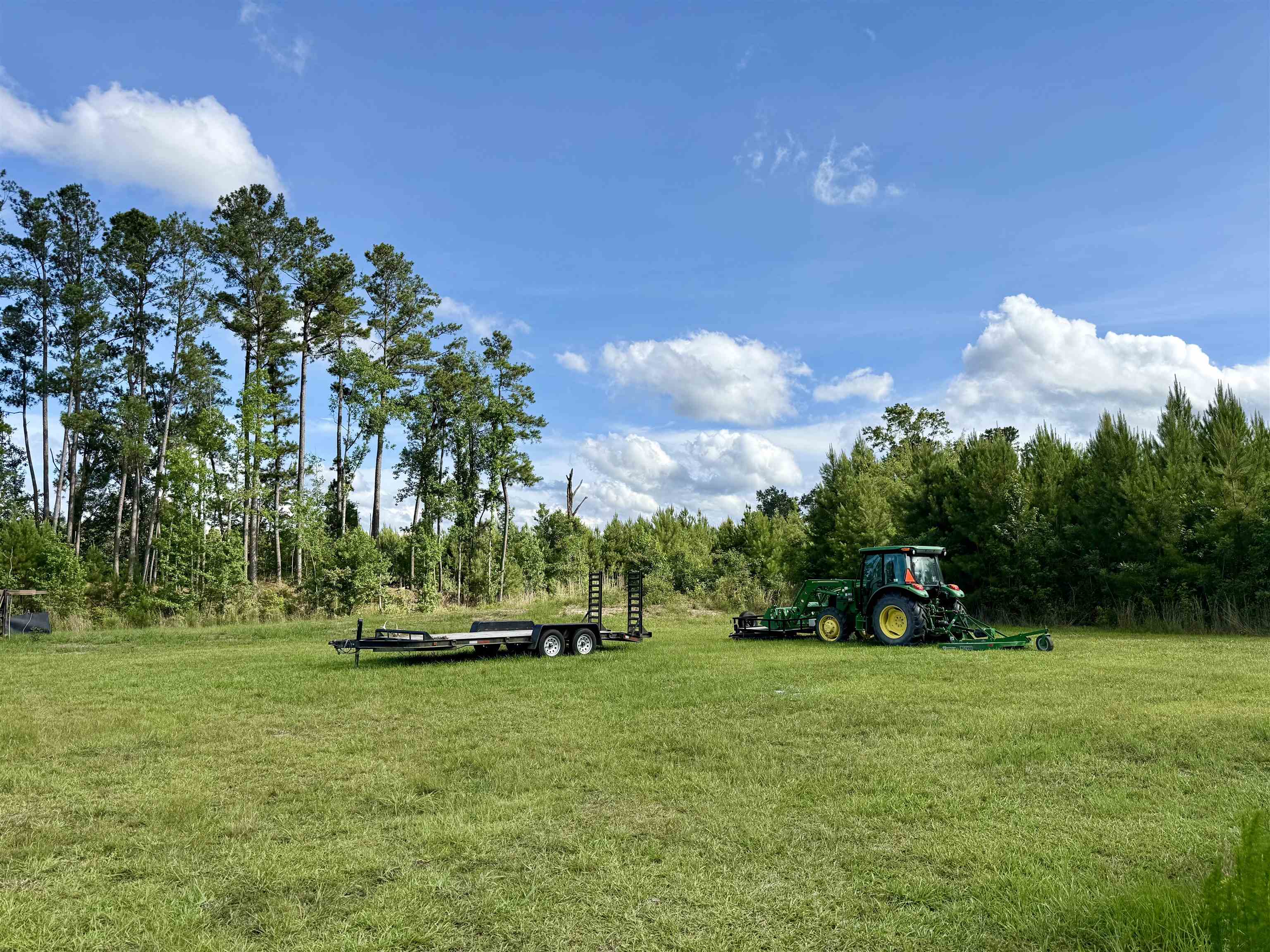85-acres - Muddy Creek Road Hemingway, SC 29554 - Photo 2 of 31