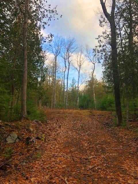 0 Targett Road Rangeley, ME 04970 - Photo 14 of 20 Building Site #2