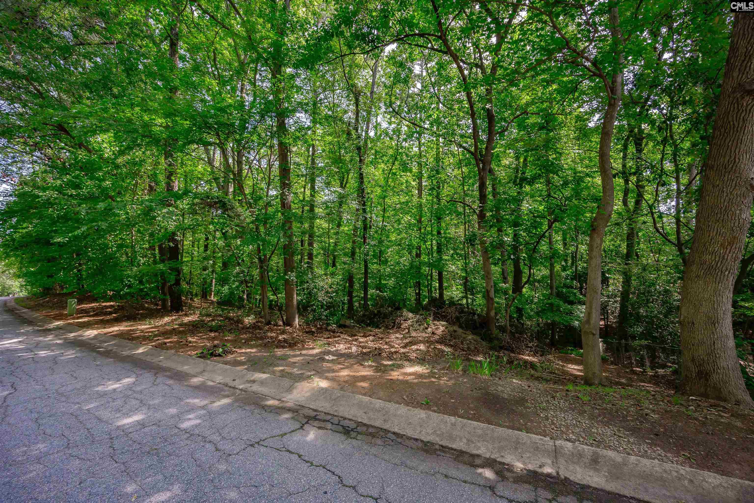 128 Holly Ridge Lane West Columbia, SC 29169 - Photo 78 of 88