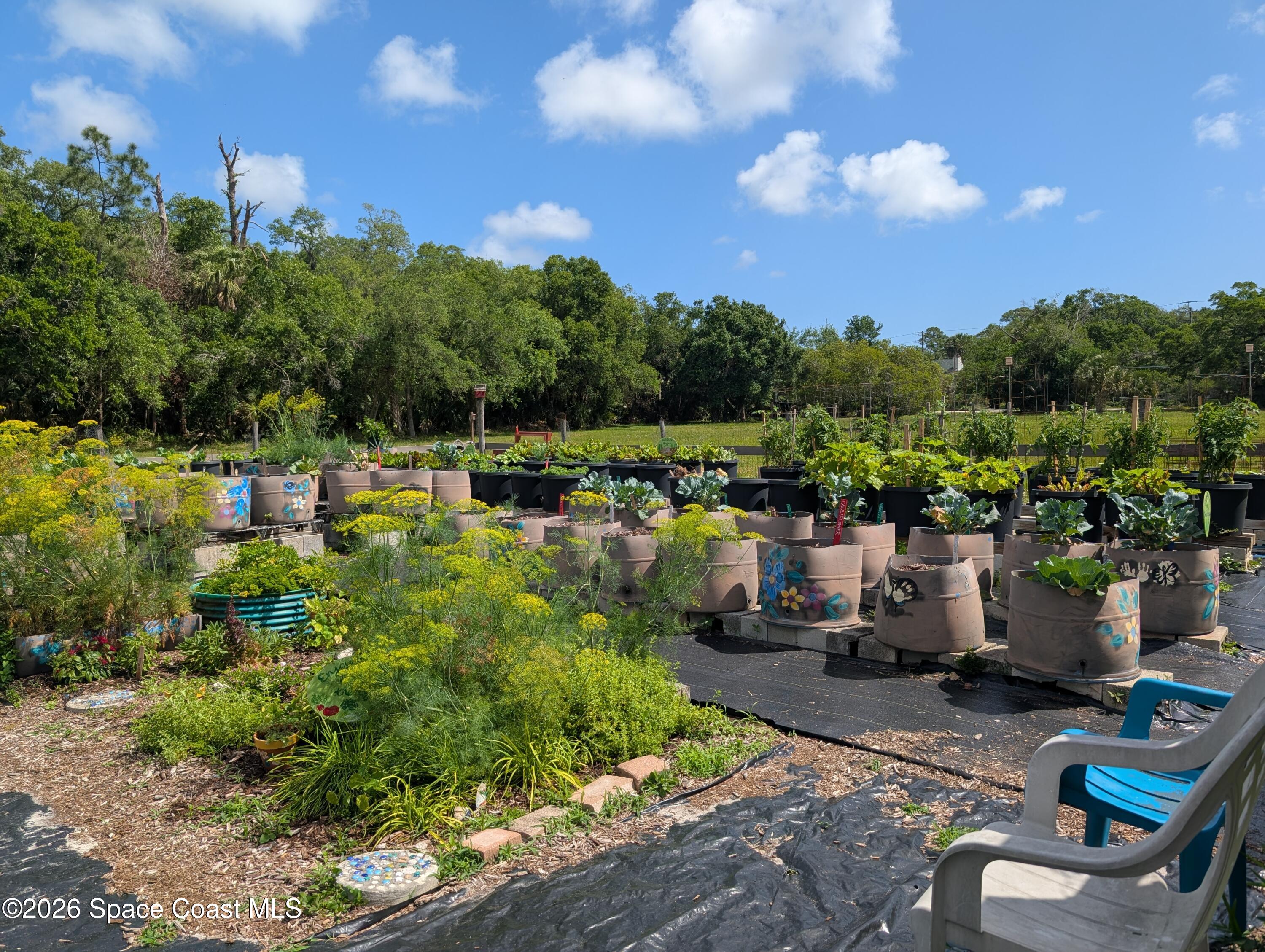 5798 Carissa Road Melbourne, FL 32904 - Photo 30 of 38 PXL_20260403_154404974