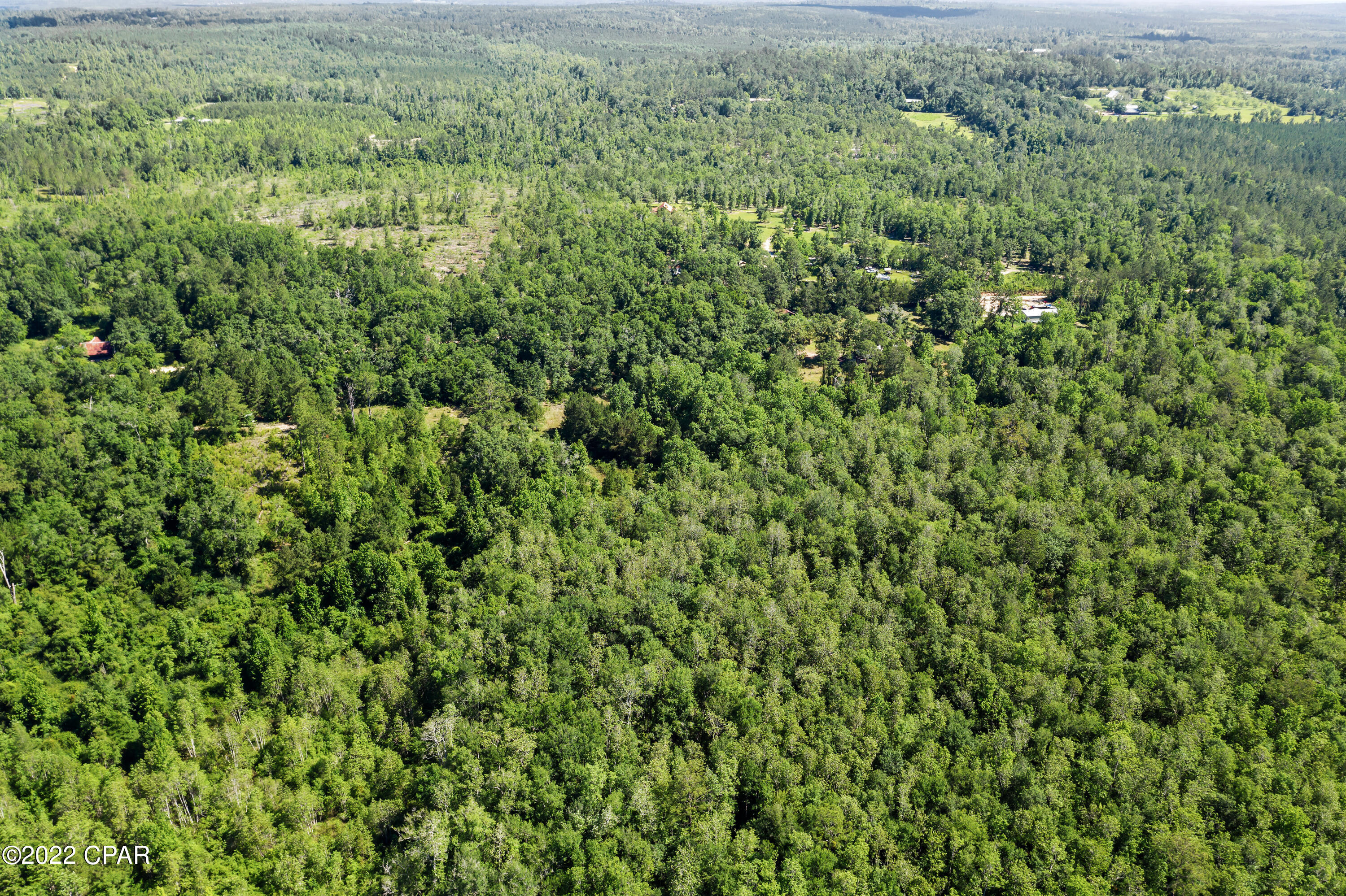 1061 Roland Road Chipley, FL 32428 - Photo 23 of 29