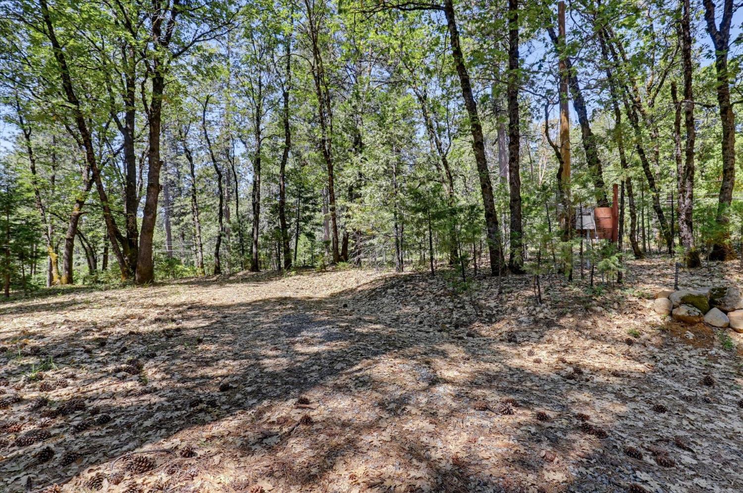 14517 North Bloomfield Road Nevada City, CA 95959 - Photo 54 of 78