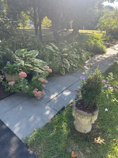 a view of a backyard with plants and flowers