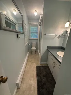 a bathroom with a sink and a toilet