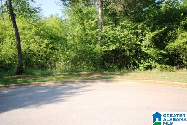 0 Almaroad Place Southwest, Unit 107 Jacksonville, AL 36265 - Photo 30 of 31