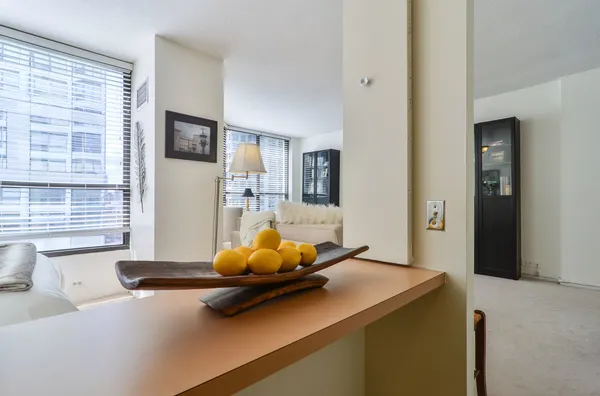 $210,000 | 405 North Wabash Avenue, Unit 1305, Chicago, IL 60611