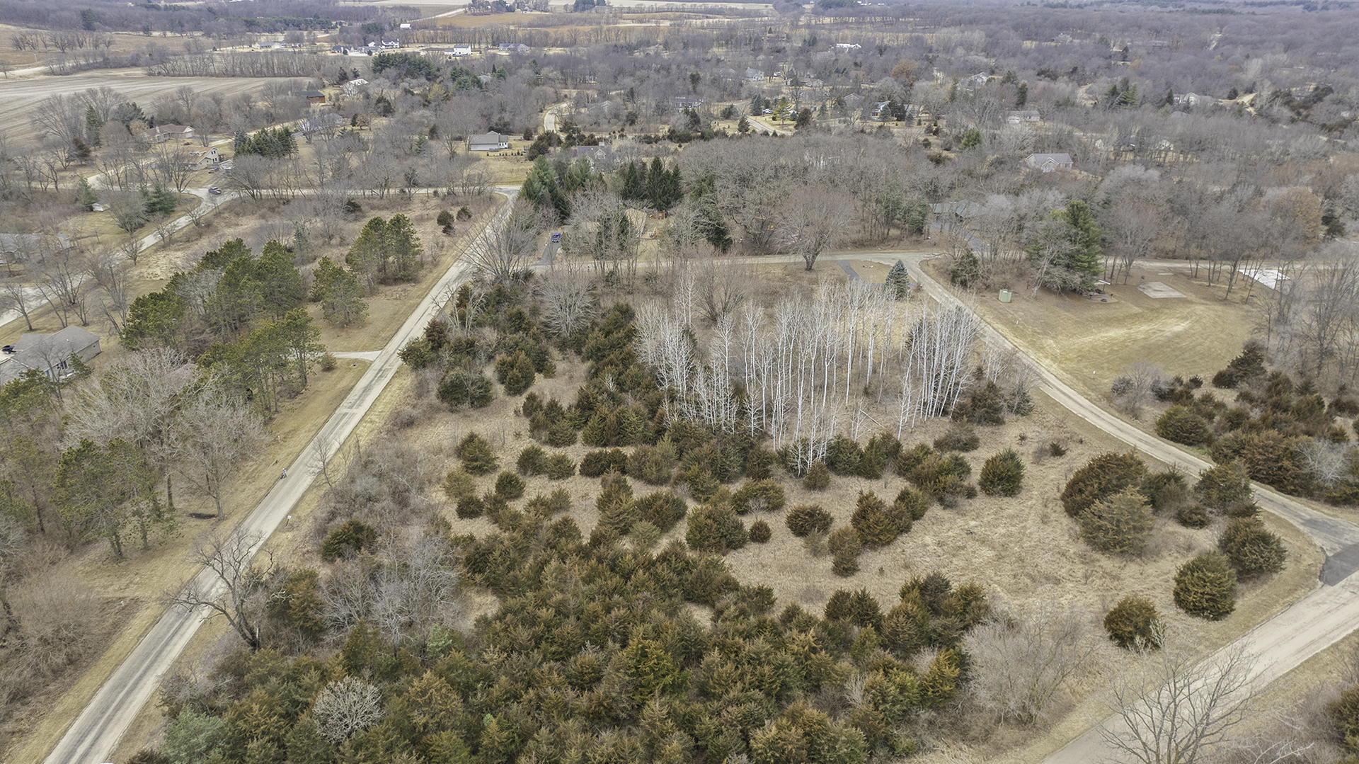 309 Vermillion Lane Dixon, IL 61021 - Photo 8 of 10