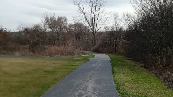 a view of a yard