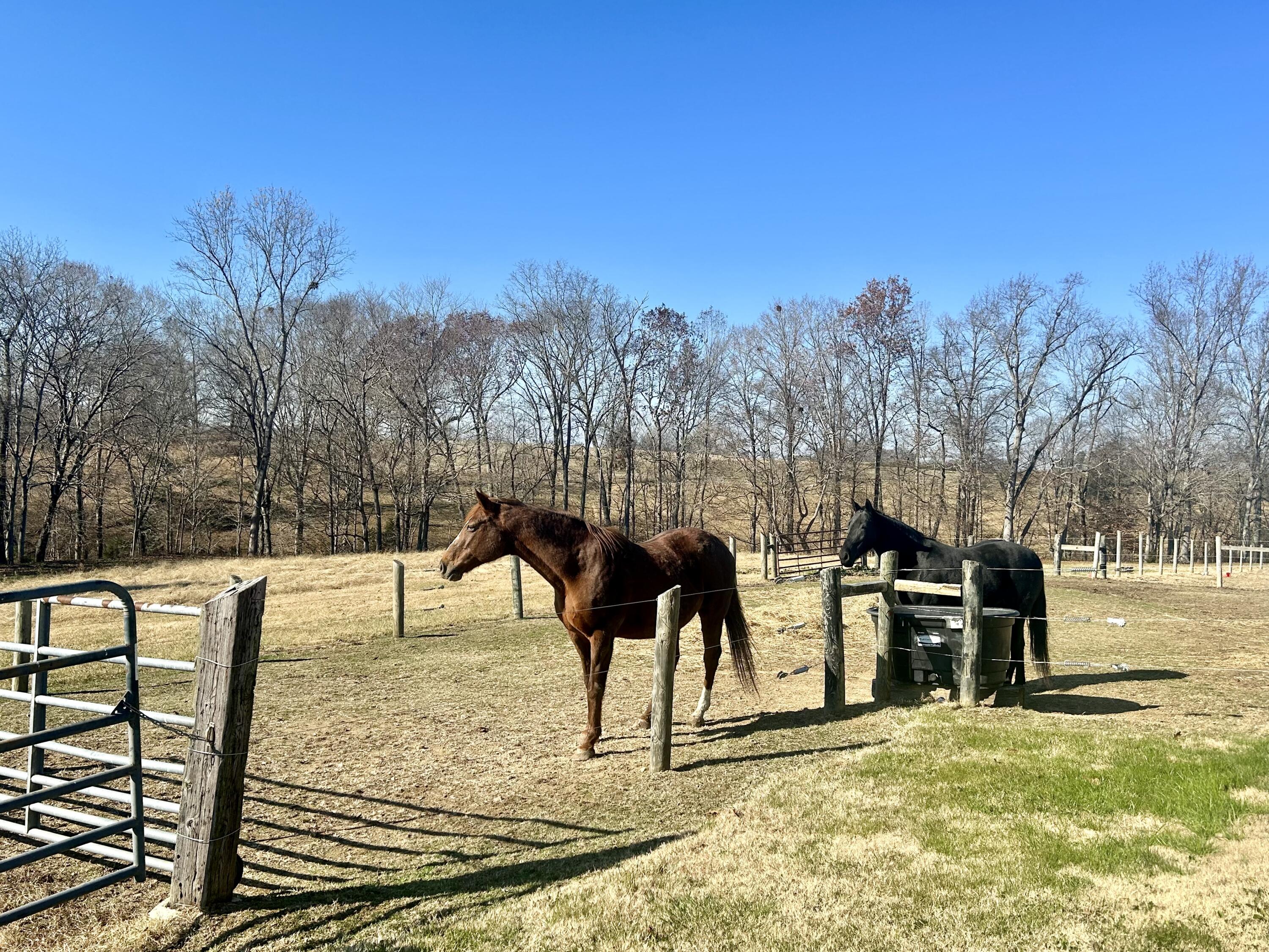 575 Piney Woods Road Nancy, KY 42544 - Photo 4 of 50 E82C02EB-C0F4-4DBF-9508-1F5DCC20D925